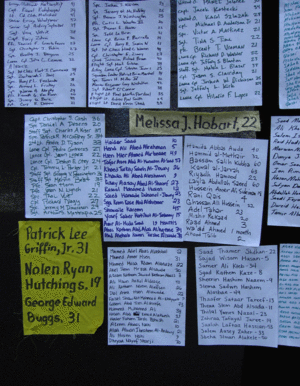 3-20wall5.gif