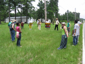 IMG_0406.gif